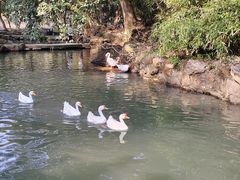 -兰亭风景区