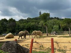 -杭州野生动物世界