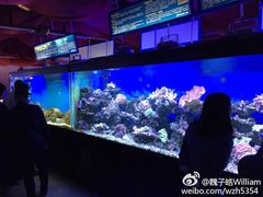 -御唐府海珊瑚主题餐厅