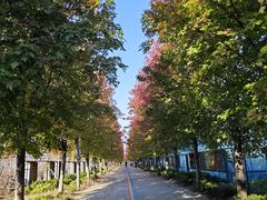 -阳澄湖半岛旅游度假区