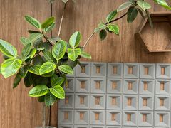 -蜀九香火锅(九眼桥店)