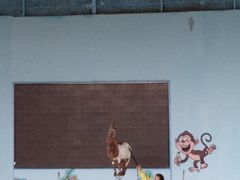 -武汉紫薇都市田园