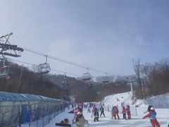 -亚布力新体委滑雪场