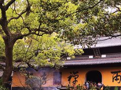 -普陀山风景名胜区-法雨禅寺