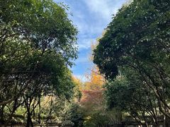 -柯岩风景区