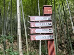 -仙霞关景区