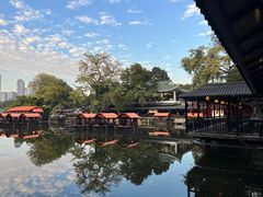 -侨美·唐荔园·40年地道粤菜