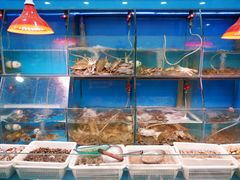 -红灯笼龙凤饭店(宁波老字号店)