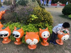 -上海长兴岛郊野公园