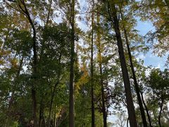 -上海长兴岛郊野公园