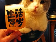 -后院儿·精酿·塔罗Happy Bar