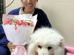 -谐和益家动物医院·免疫绝育·血液透析·宠保定点医院(高新伊藤分院)