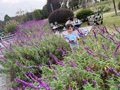 -铁山坪森林公园