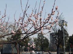 -鲍师傅糕点(海陵北路店)