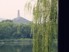 -北坞公园