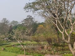 -中国科学院西双版纳热带植物园