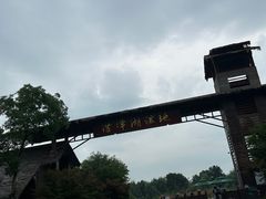 -泗洪洪泽湖湿地景区