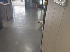 -半岛宠物医院24小时(科华中路店)