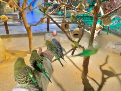 -酷嗒动物文化乐园(cutezoo西溪乐天城店)