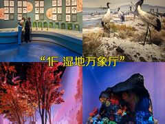 -中国湿地博物馆