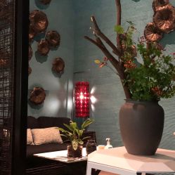 -THANN EXPRESS SPA
