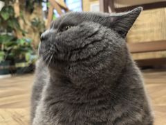 -Rabbit Cafe私房西餐甜点咖啡(栖霞路店)