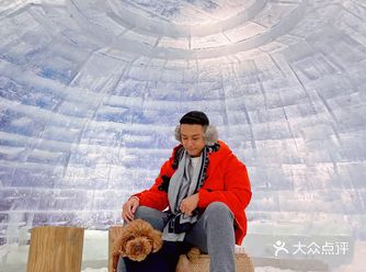 这里不用出省就可以带狗玩雪️感受冬天