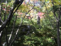 -常寂光寺