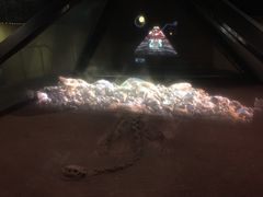 -世界恐龙谷景区