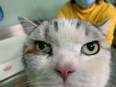 -哆趣宠物医院·眼科·内镜·急重症转诊中心(上海店)