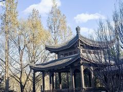 -北宫国家森林公园