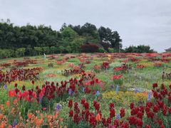 -保利石象湖景区