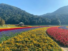 -广州市石门国家森林公园