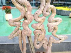 -南通洲际绿博园