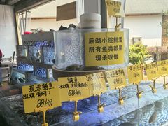 -后湖小院·乡野田园菜