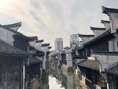 -真真老老(月河花鸟市场店)
