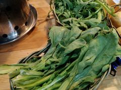 茼蒿-范贤光鸡公煲(平乐园总店)