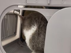 -佳雯宠物医院(四明中路分院)