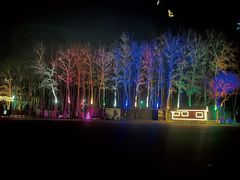 -枫花园汽车电影院(朝阳公园店)