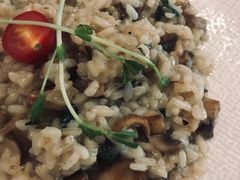 黑松露蘑菇烩饭-IL Forno 意坊·意大利餐厅(温州万象城店)