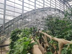 -南山植物园