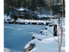 -溪口商量岗景区
