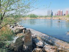 -永定河休闲森林公园