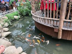 -金稼园·金平湖农家菜