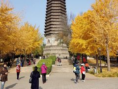 -玲珑塔公园