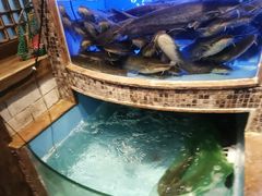 -西江传说•酸汤鱼(水东路店)