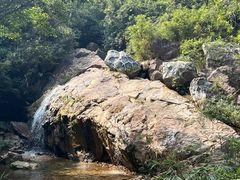 -南海湾森林生态园