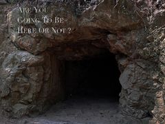 -上海佘山国家森林公园天马山园