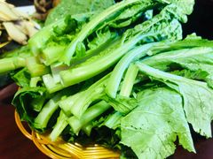 小青菜-野菌皇海景野生菌火锅(滨海大道店)