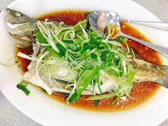 蒸鱼-新味苑港式茶餐厅